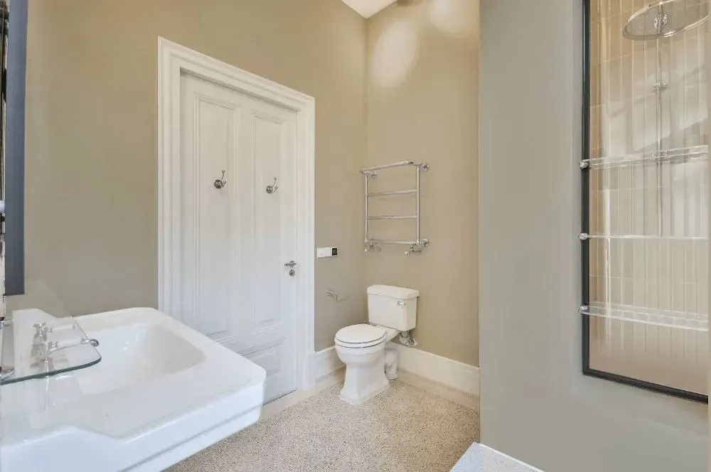 NCS S 2005-Y20R bathroom