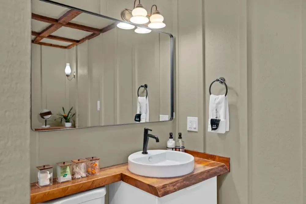 NCS S 2005-Y20R small bathroom