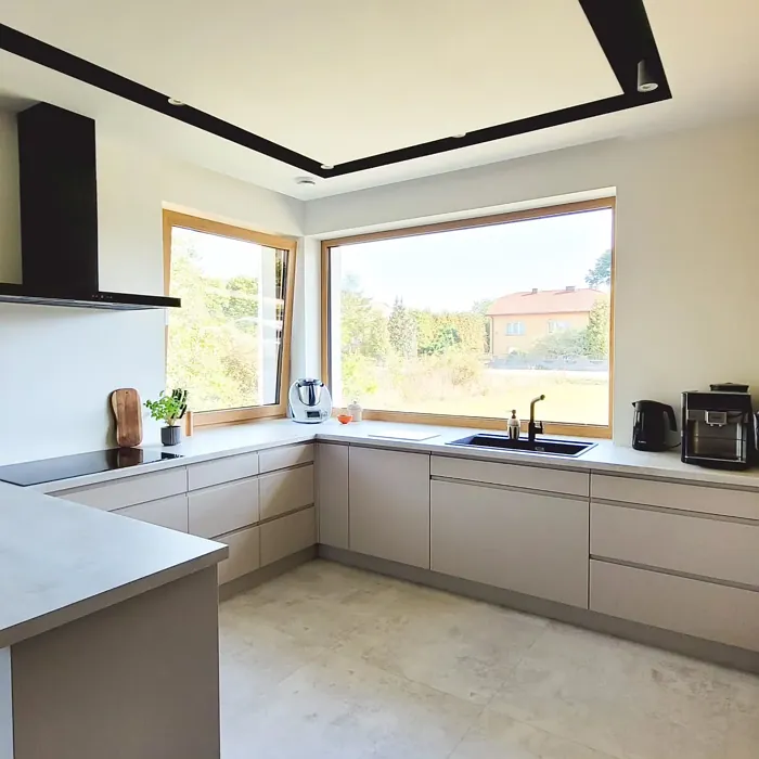 NCS S 2005-Y50R kitchen cabinets 