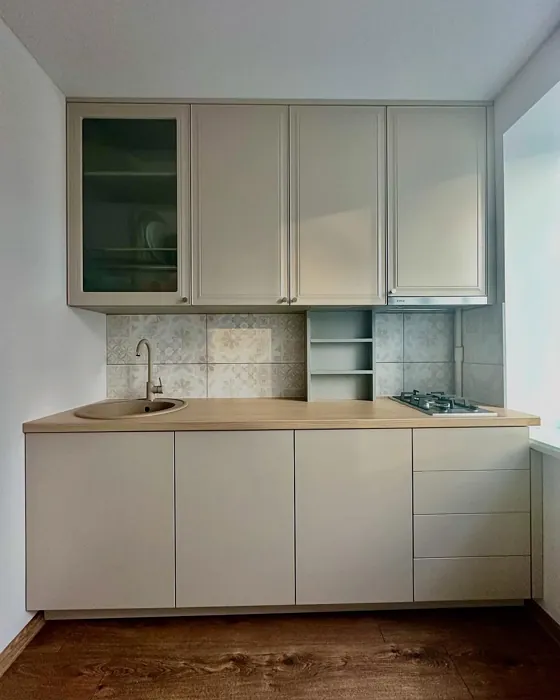 S 2005-Y50R kitchen cabinets 