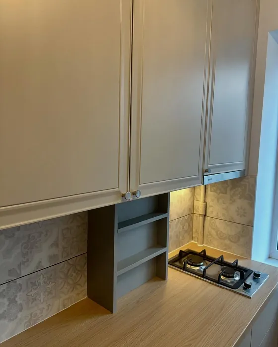 S 2005-Y50R kitchen cabinets paint review