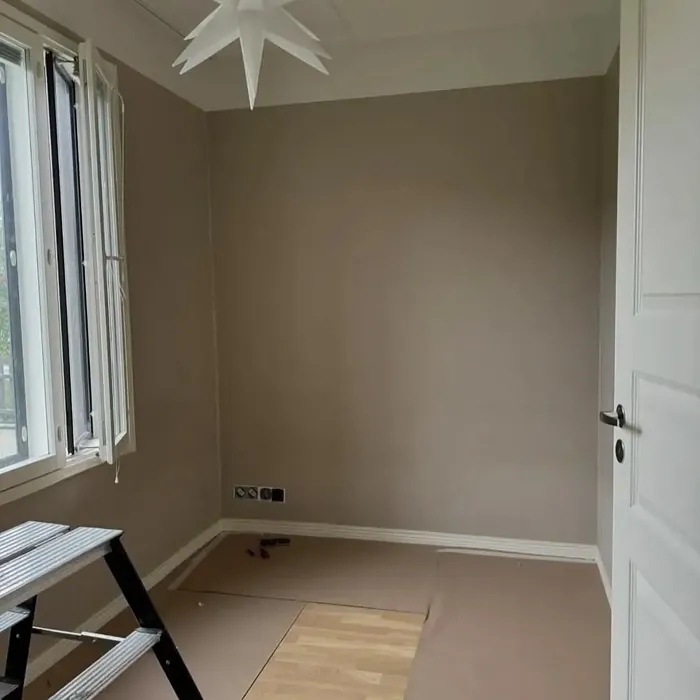 NCS S 2005-Y50R wall paint 