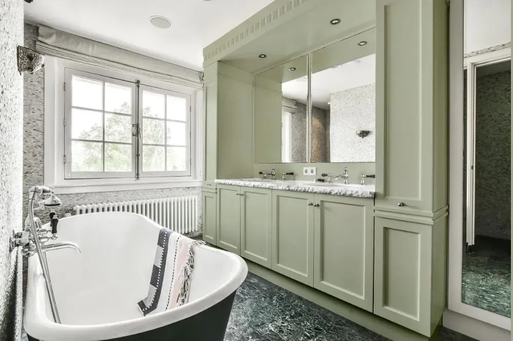 NCS S 2010-G40Y victorian bathroom paint