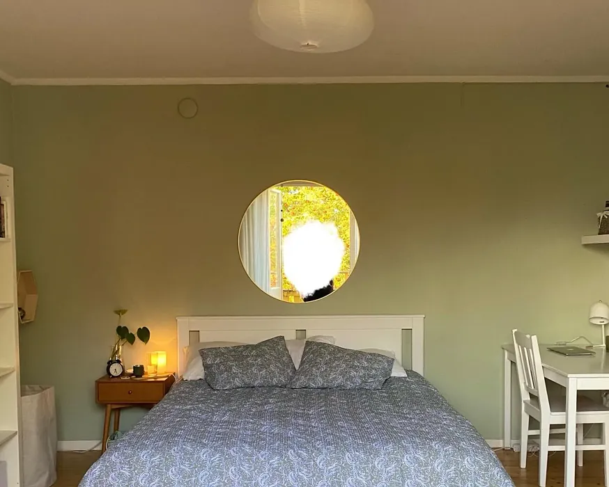 NCS S 2010-G50Y bedroom paint