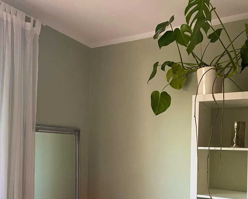 NCS S 2010-G50Y bedroom review