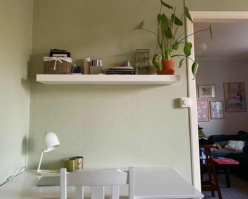 NCS S 2010-G50Y wall paint 