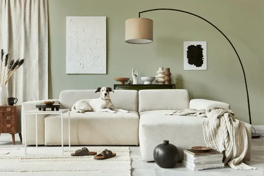 NCS S 2010-G60Y cozy living room