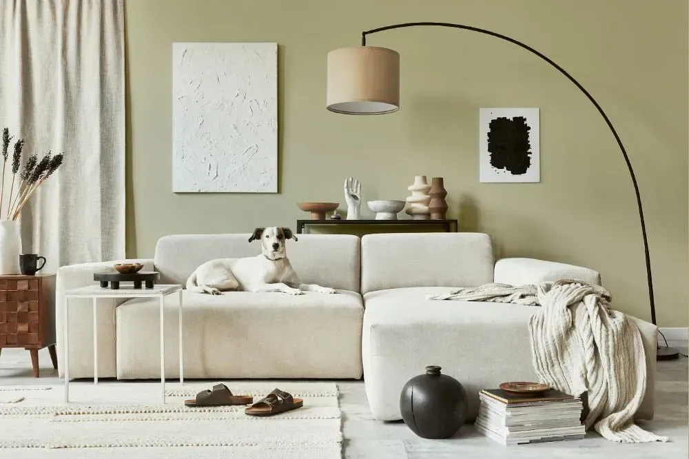 NCS S 2010-G80Y cozy living room