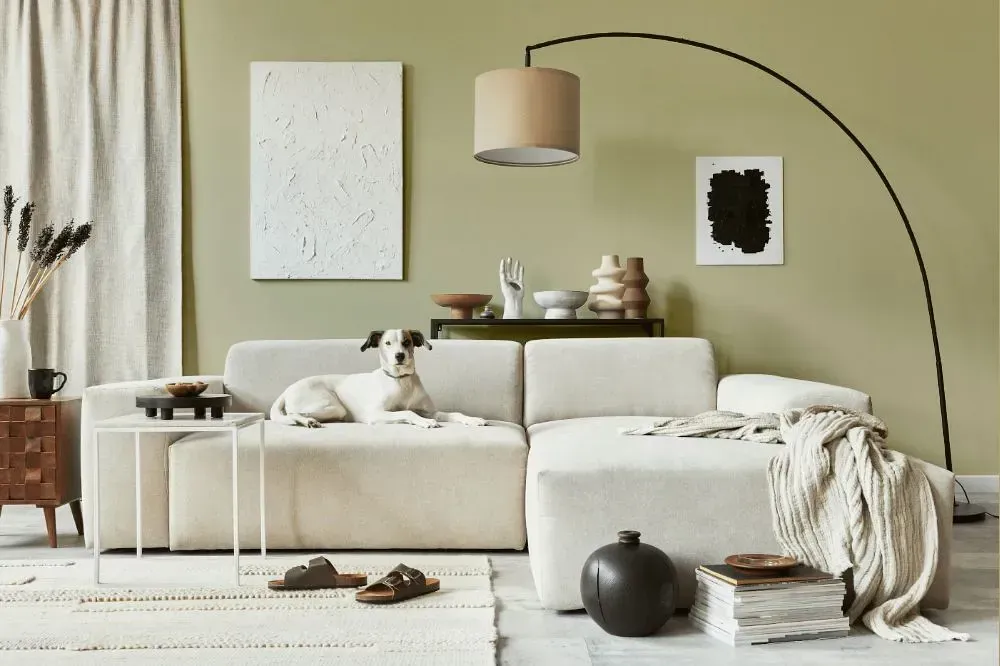 NCS S 2010-G90Y cozy living room