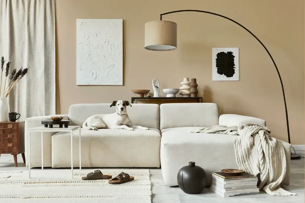 NCS S 2010-Y30R cozy living room