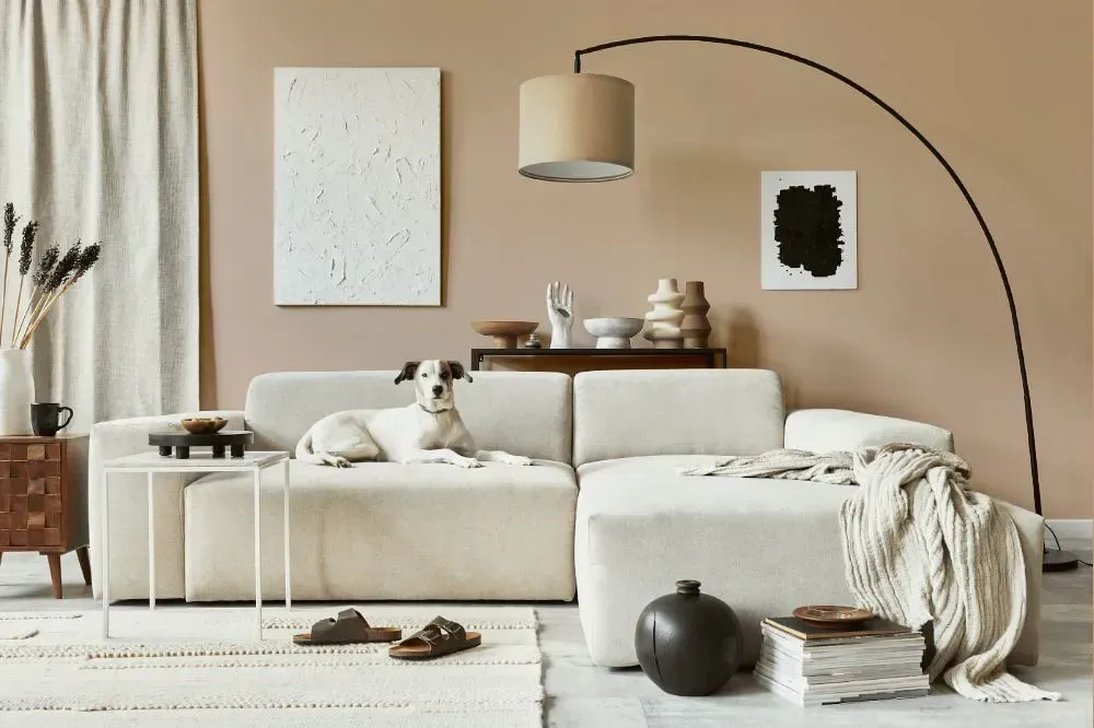 NCS S 2010-Y50R cozy living room