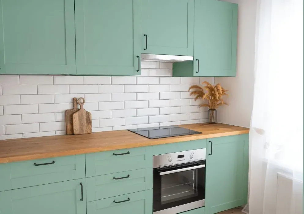 NCS S 2020-B90G kitchen cabinets