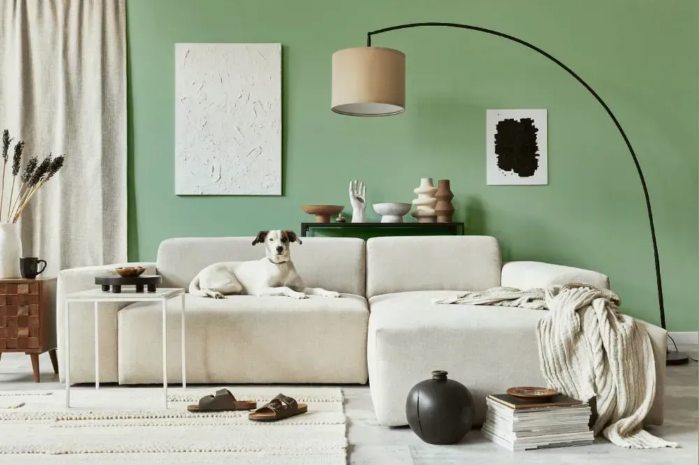 NCS S 2020-G20Y cozy living room