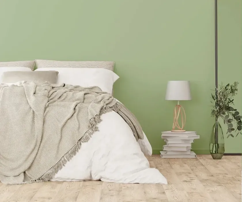 NCS S 2020-G30Y cozy bedroom wall color