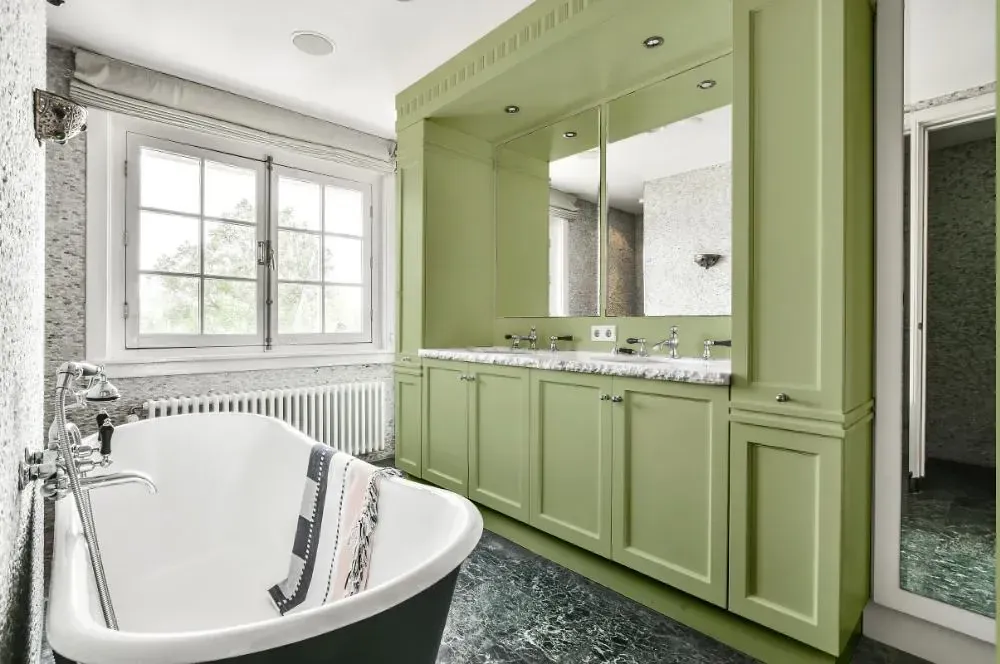 NCS S 2020-G50Y victorian bathroom paint