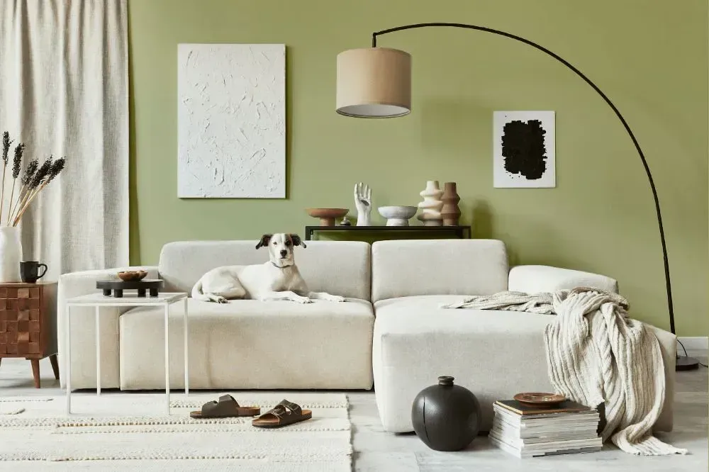 NCS S 2020-G60Y cozy living room