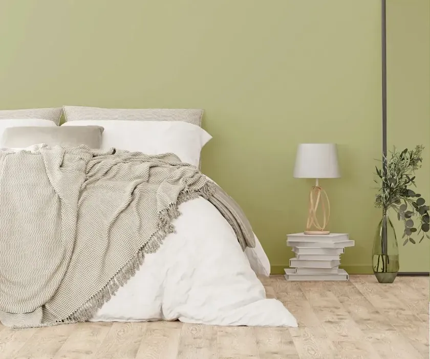 NCS S 2020-G60Y cozy bedroom wall color