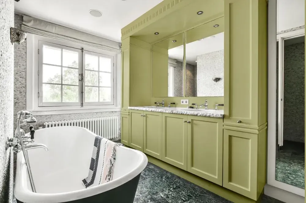 NCS S 2020-G70Y victorian bathroom paint