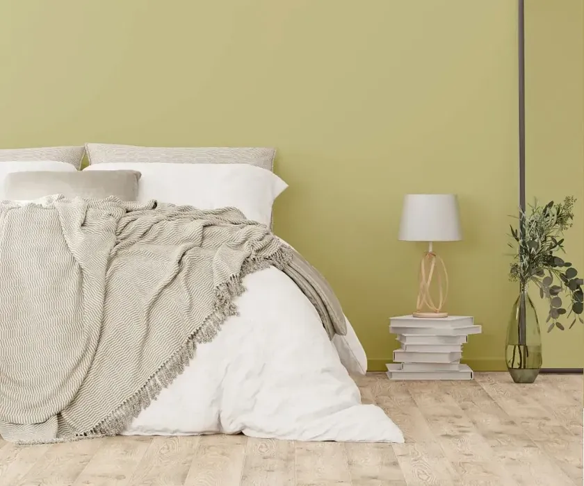 NCS S 2020-G80Y cozy bedroom wall color