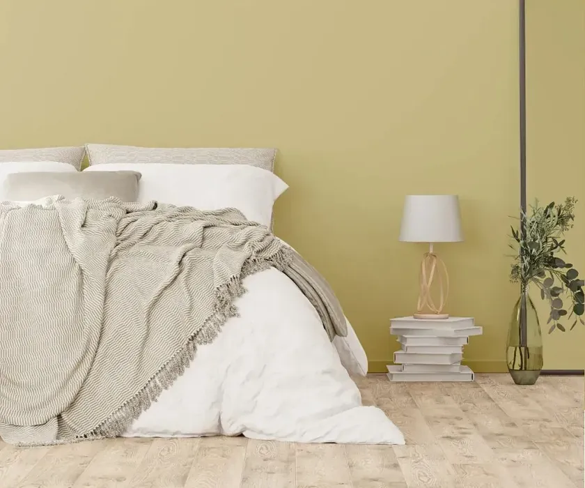 NCS S 2020-G90Y cozy bedroom wall color