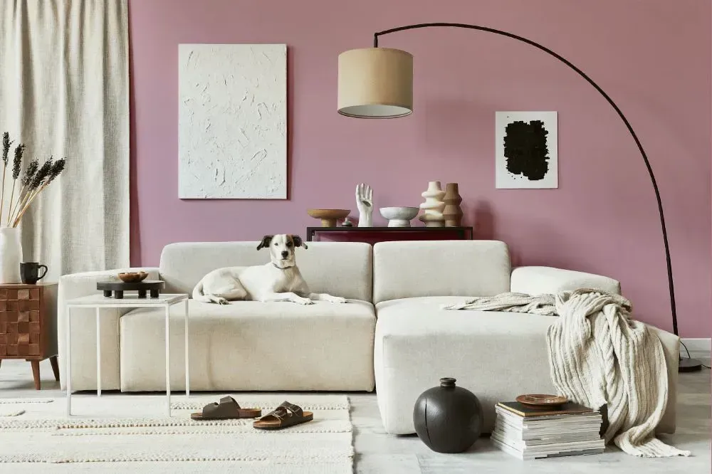 NCS S 2020-R20B cozy living room
