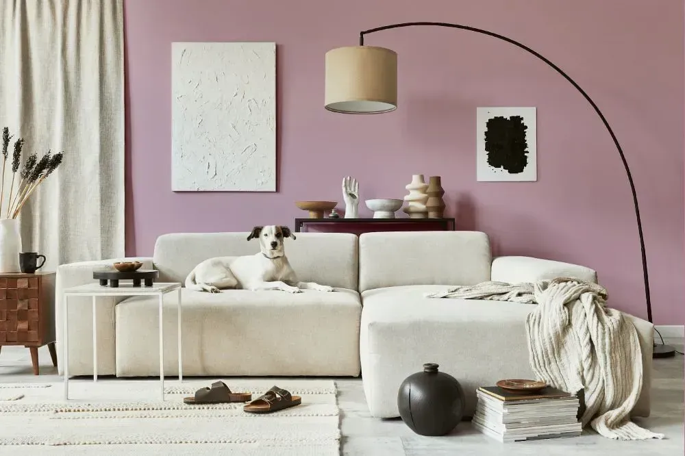 NCS S 2020-R30B cozy living room