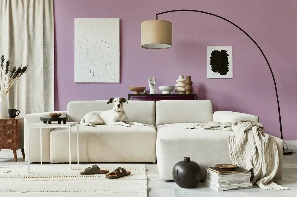 NCS S 2020-R40B cozy living room