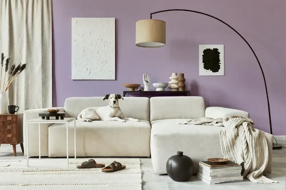 NCS S 2020-R50B cozy living room