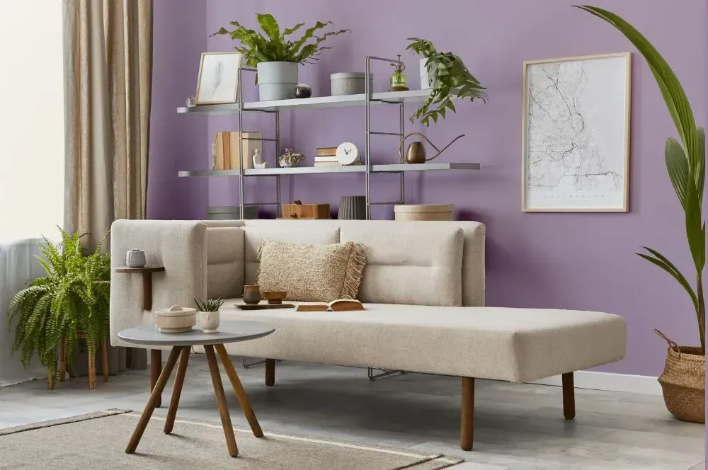 NCS S 2020-R50B living room