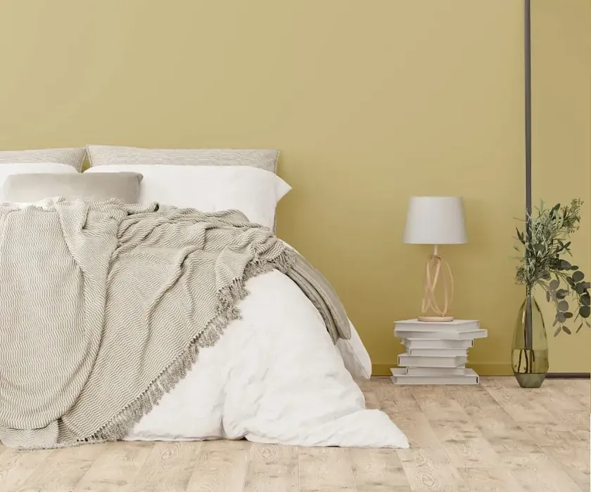 NCS S 2020-Y cozy bedroom wall color