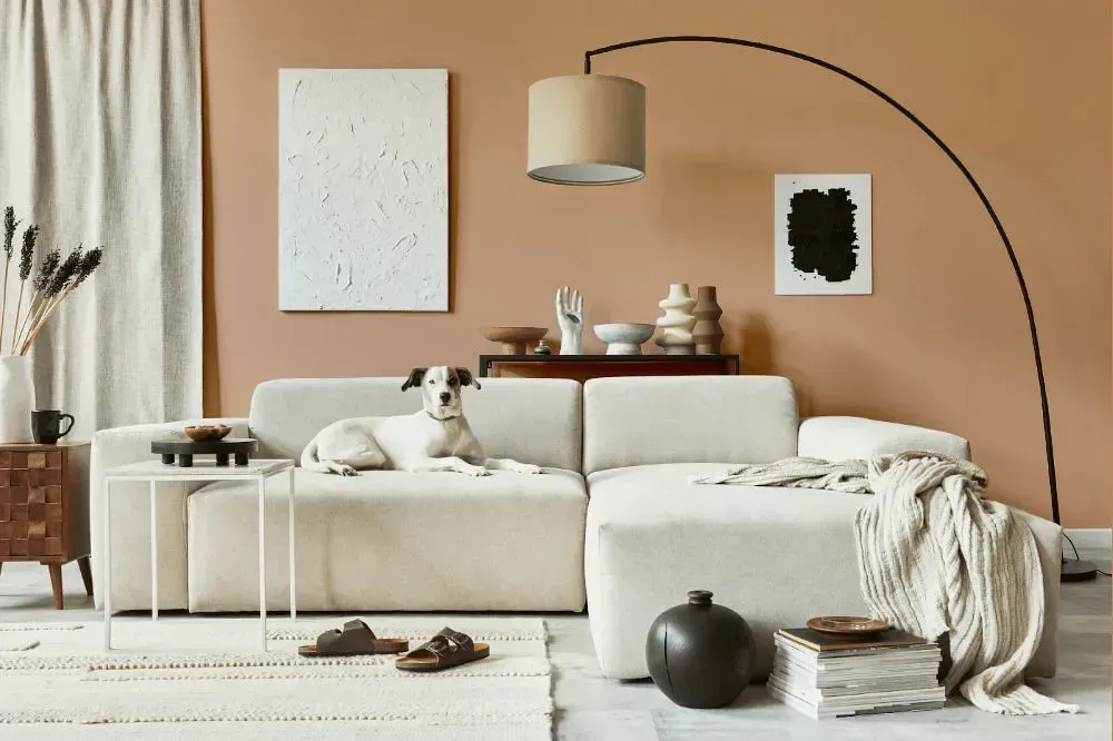 NCS S 2020-Y50R cozy living room