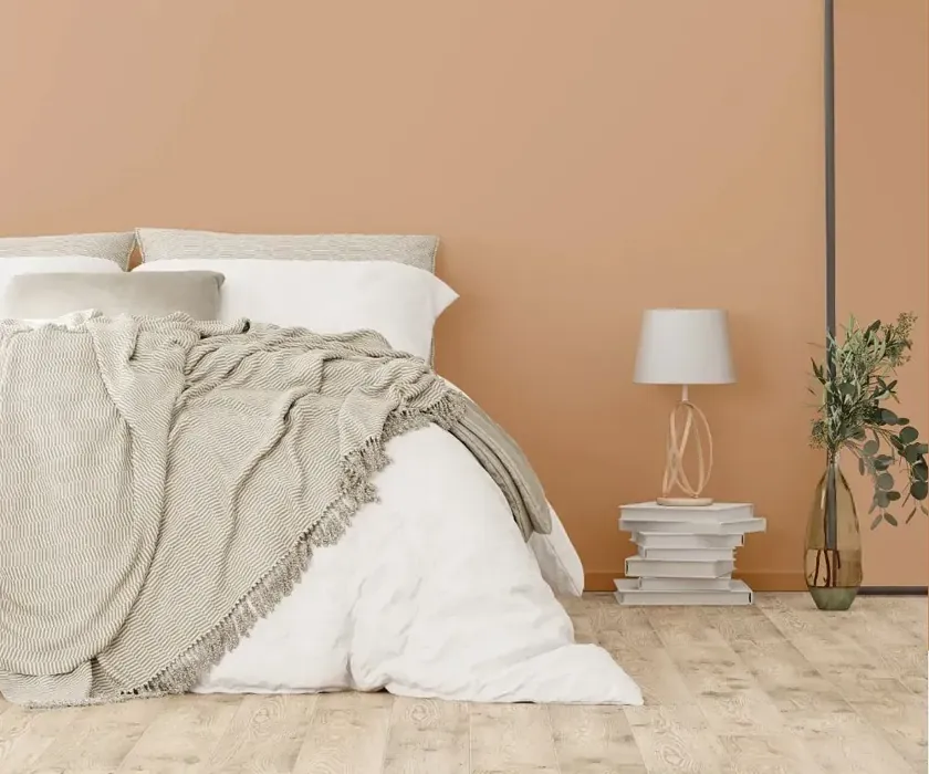 NCS S 2020-Y50R cozy bedroom wall color