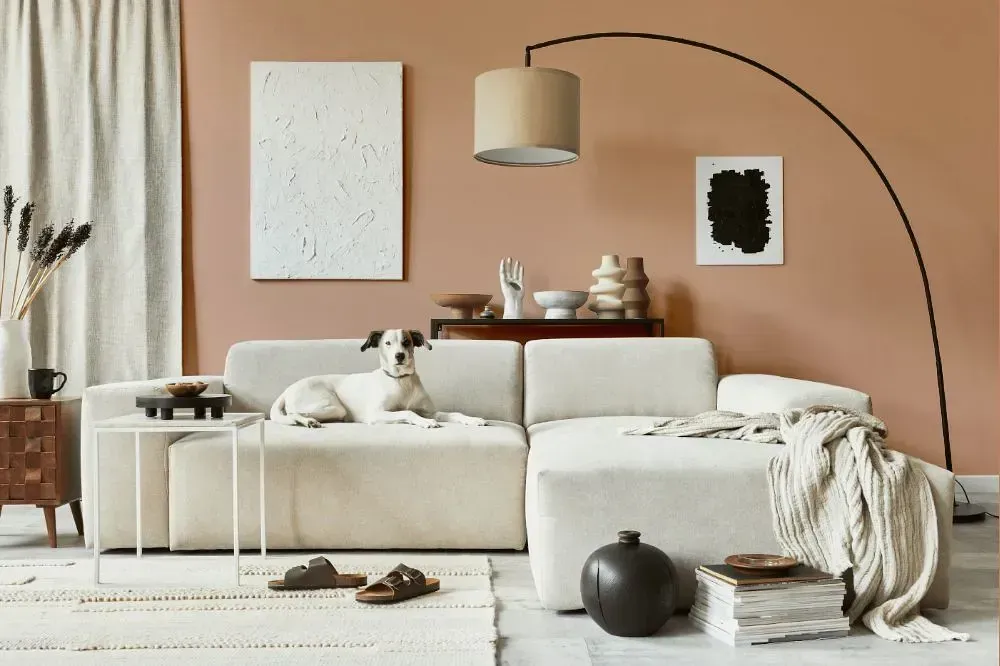 NCS S 2020-Y60R cozy living room