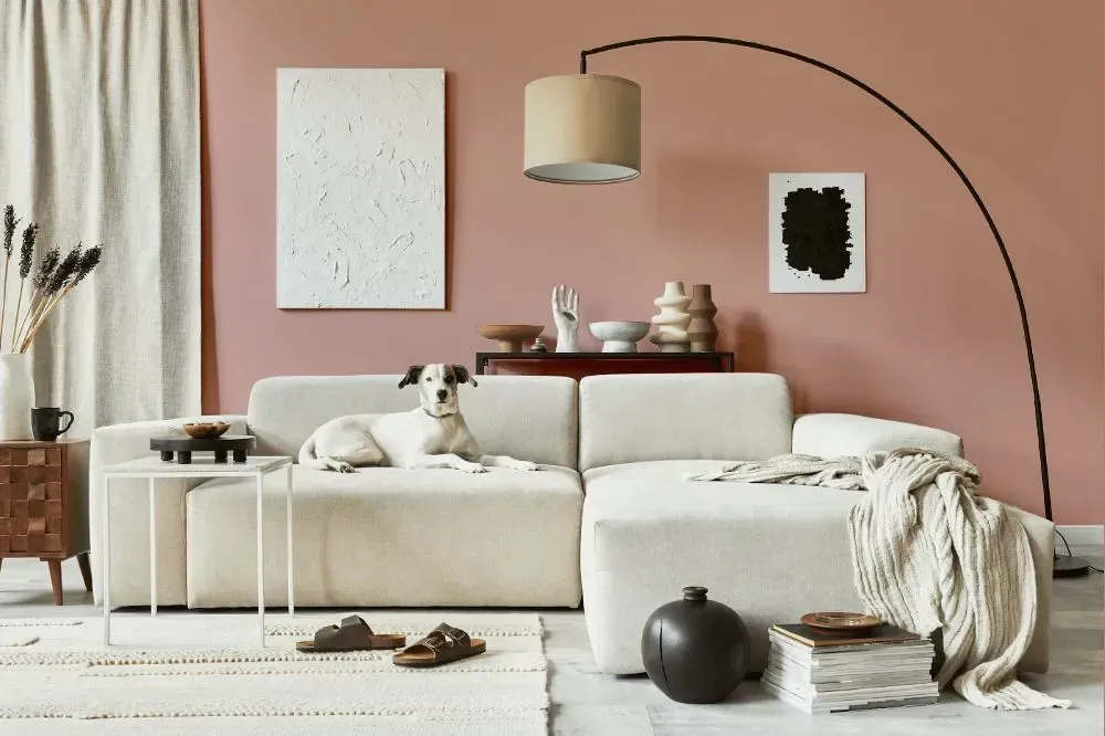 NCS S 2020-Y80R cozy living room