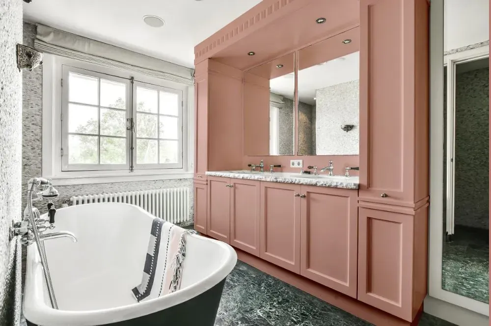 NCS S 2020-Y80R victorian bathroom paint