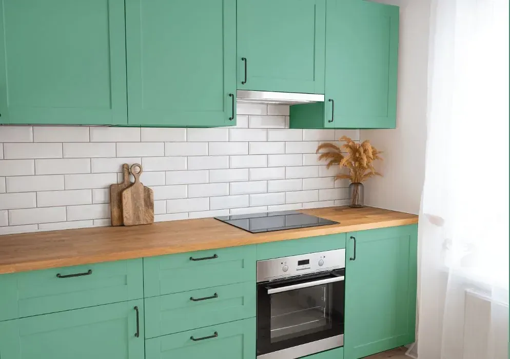 NCS S 2030-B90G kitchen cabinets