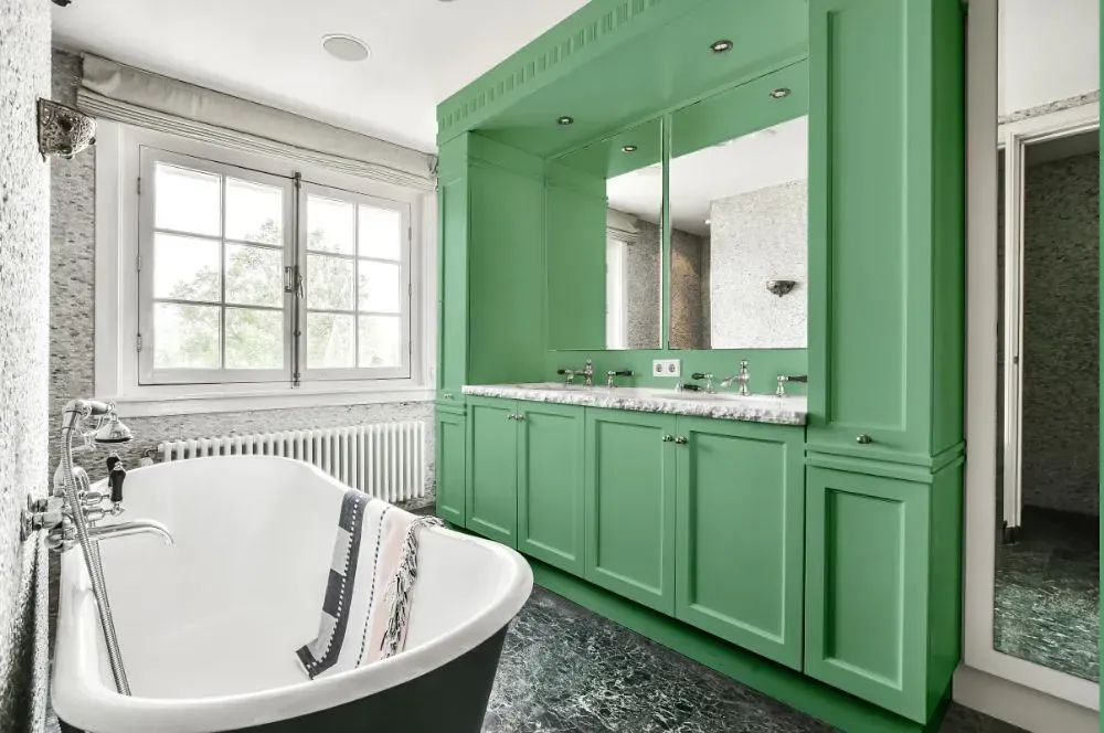 NCS S 2030-G10Y victorian bathroom paint