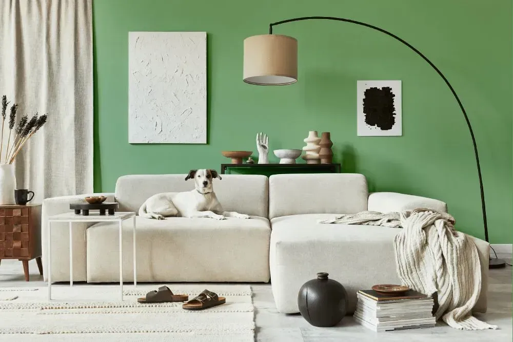 NCS S 2030-G20Y cozy living room