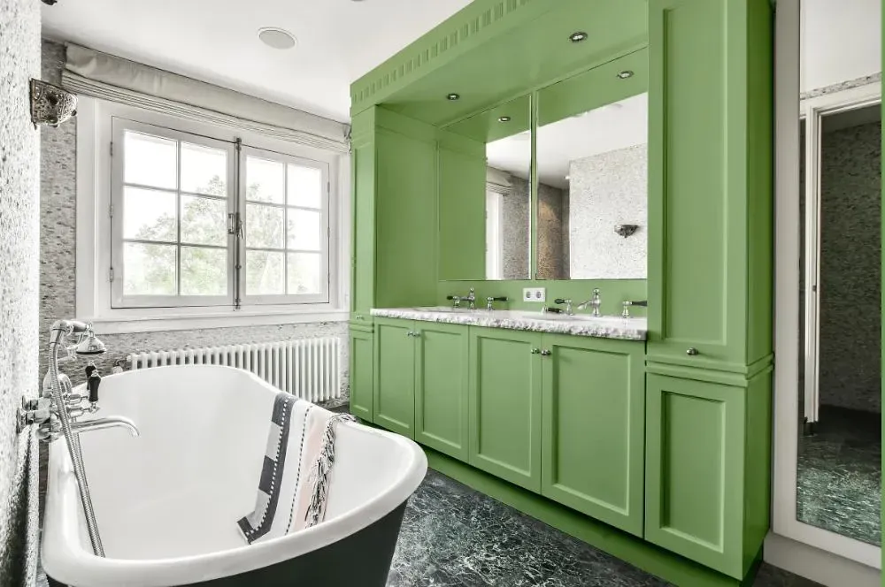 NCS S 2030-G30Y victorian bathroom paint