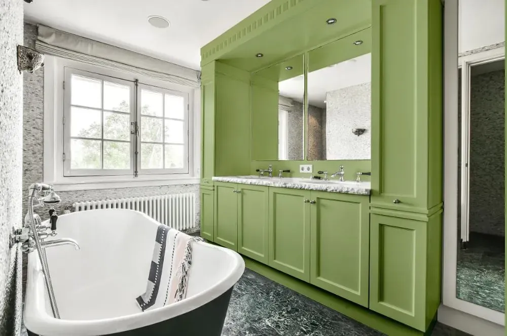 NCS S 2030-G40Y victorian bathroom paint