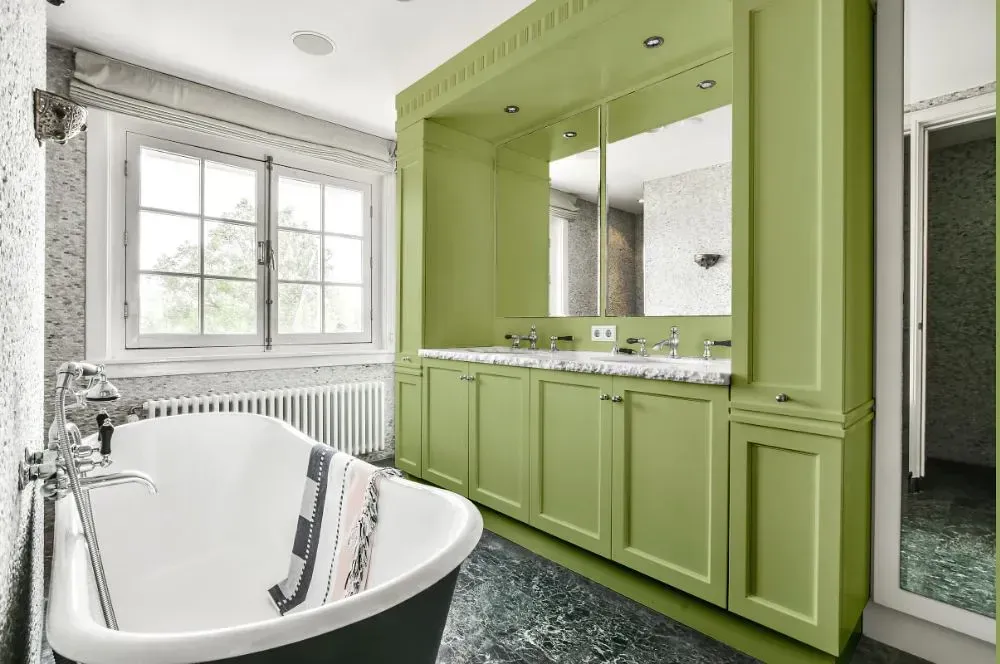 NCS S 2030-G50Y victorian bathroom paint