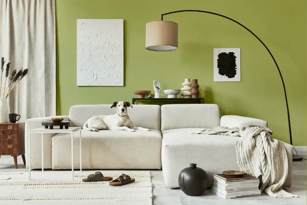 NCS S 2030-G60Y cozy living room