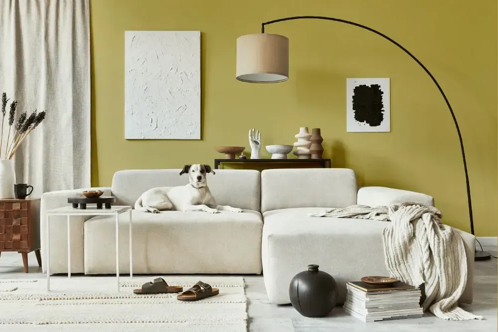 NCS S 2030-G90Y cozy living room