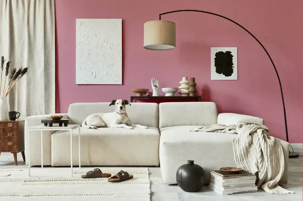 NCS S 2030-R10B cozy living room