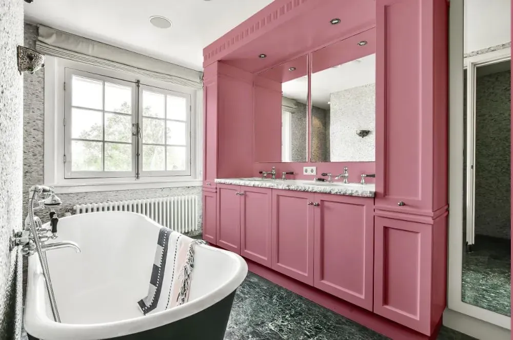 NCS S 2030-R10B victorian bathroom paint