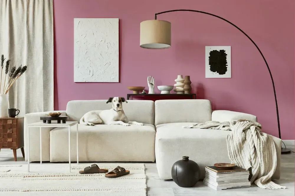 NCS S 2030-R20B cozy living room