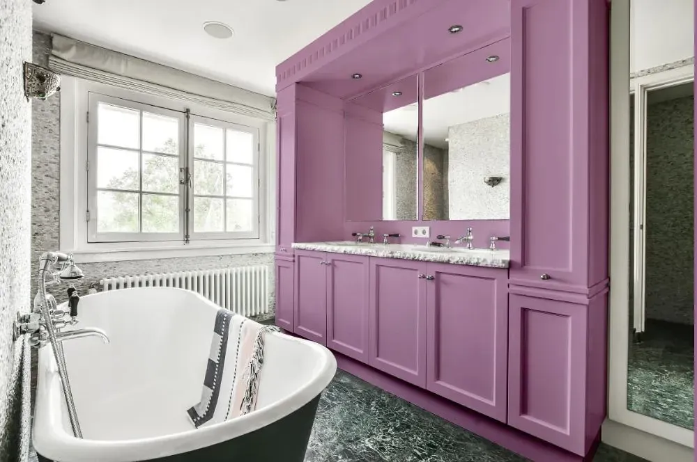 NCS S 2030-R40B victorian bathroom paint