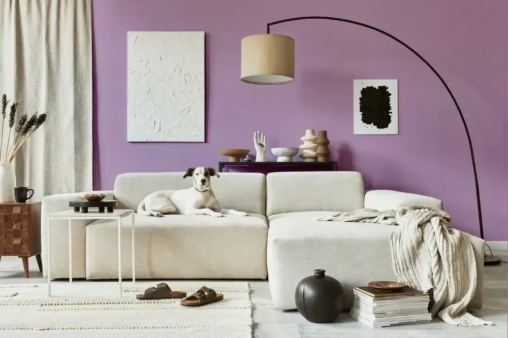 NCS S 2030-R50B cozy living room