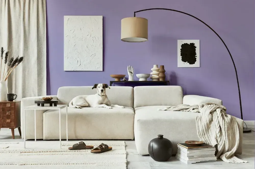 NCS S 2030-R60B cozy living room