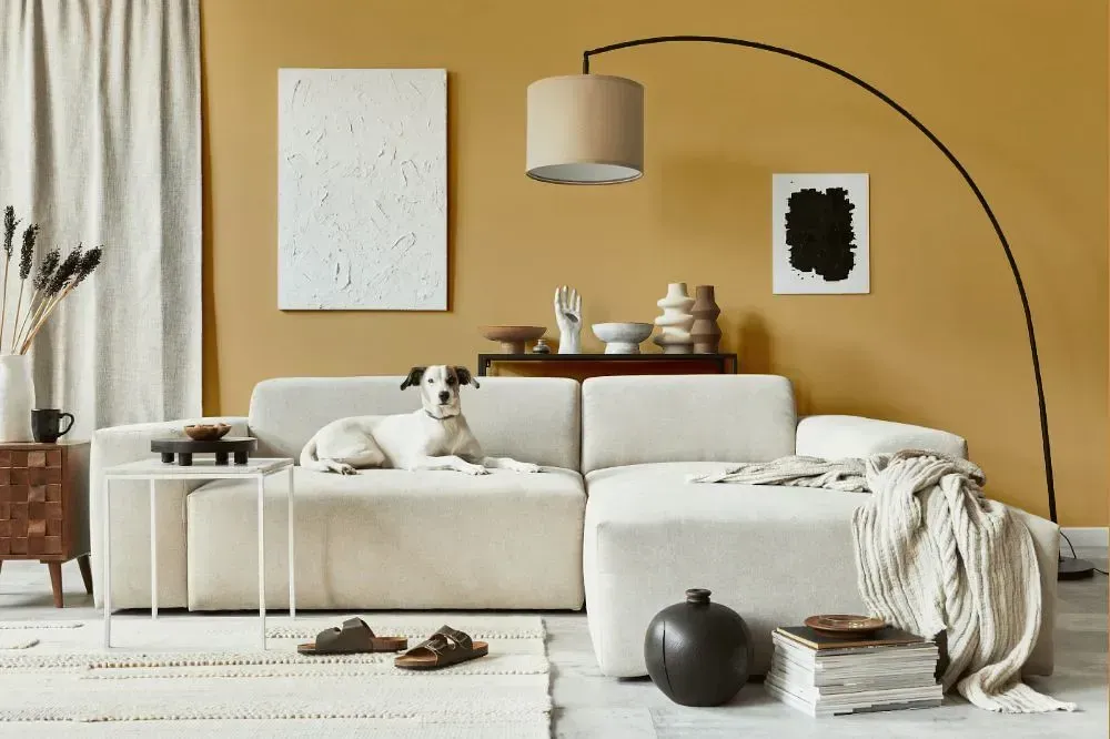 NCS S 2030-Y20R cozy living room